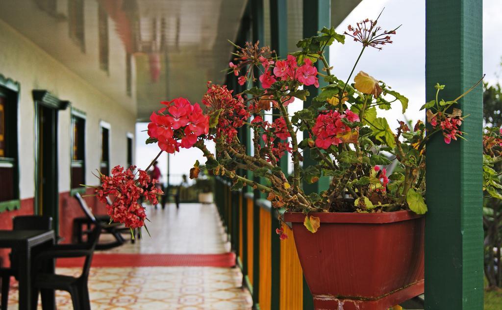 Hostal Casa De Los Taitas Саленто Экстерьер фото